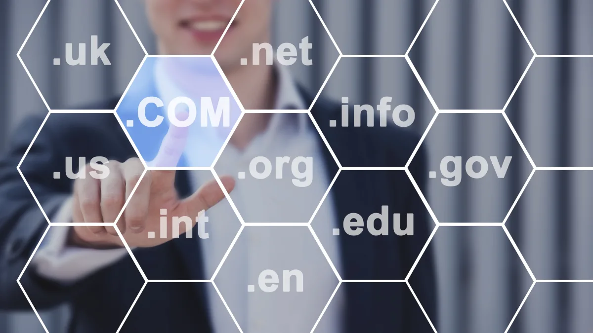 Checking and registering a domain in the MaxBG panel