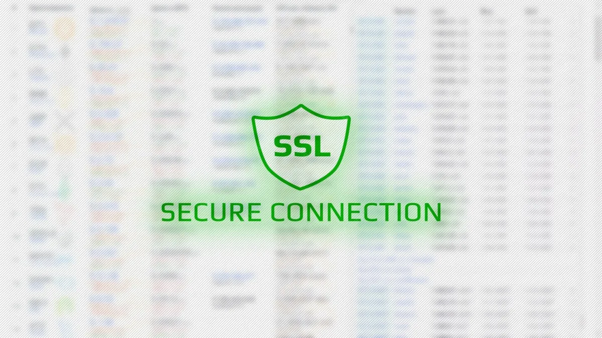 Padlock and secure connection in the browser address bar